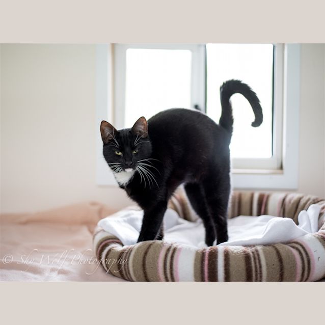 Photo of Penny