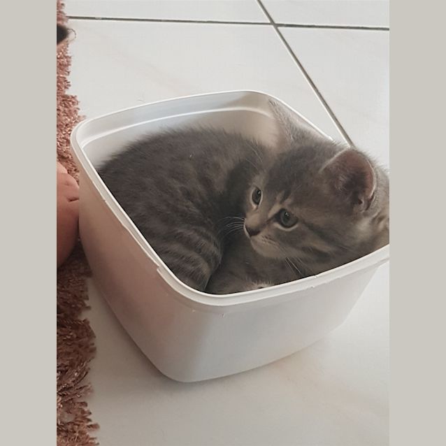 Photo of Storm
