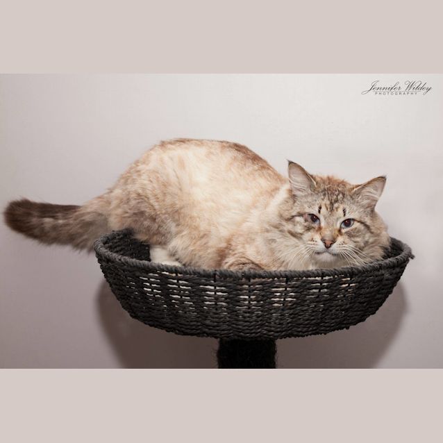 Photo of Ac0957   Sid The Sloth