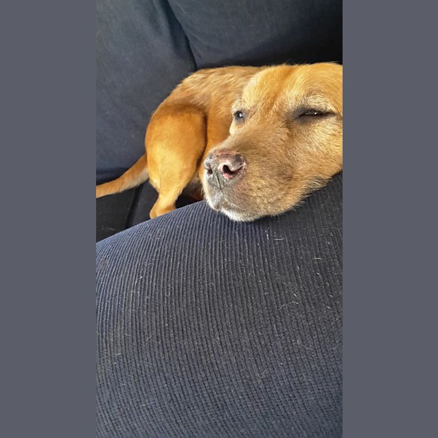 Photo of Mickeya