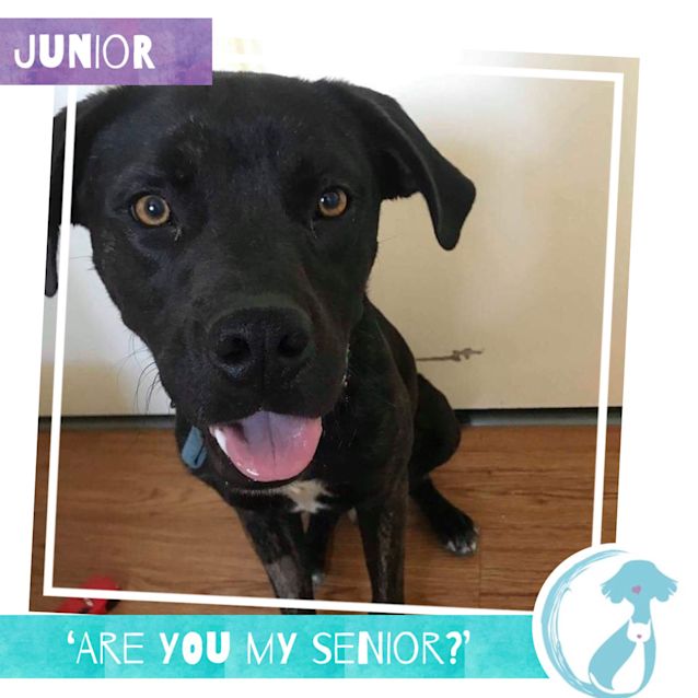 Photo of Junior