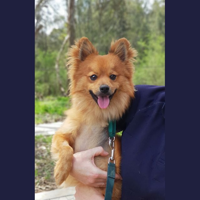 Photo of Bibi