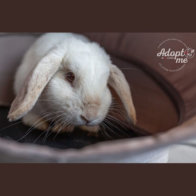 Photo of Arthur Dent