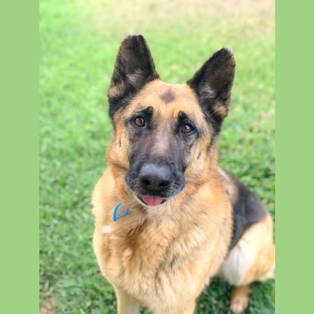 Photo of Cleo