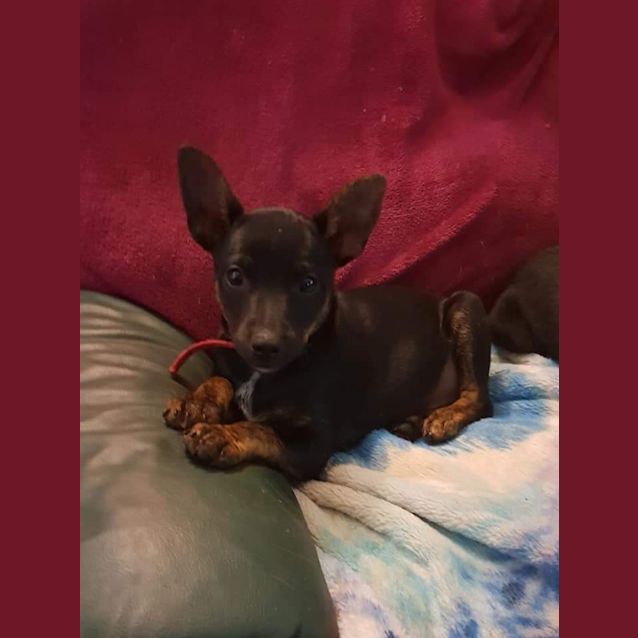 Photo of Monty
