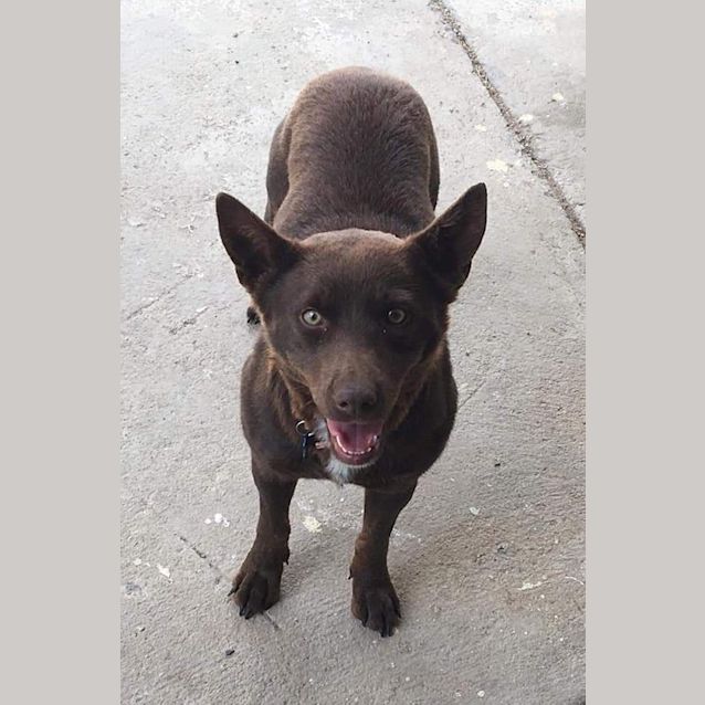 Photo of Bindi