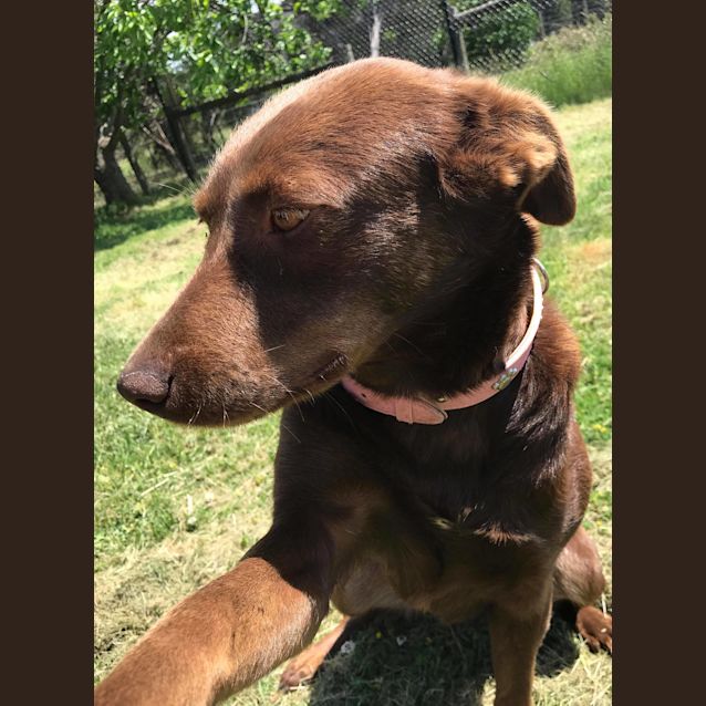 Photo of Ruby