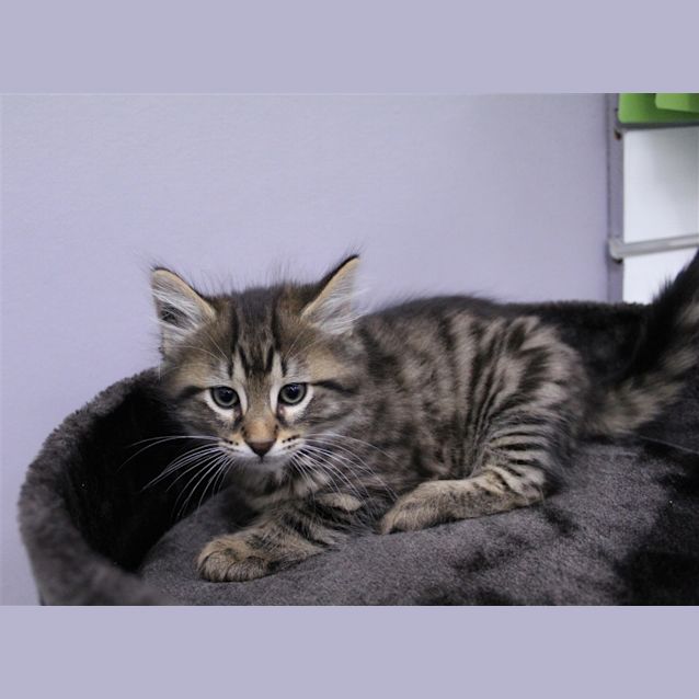Photo of Timothy