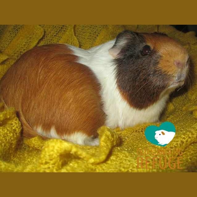 Photo of Reggie