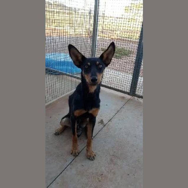 Photo of **On Trial** Roger