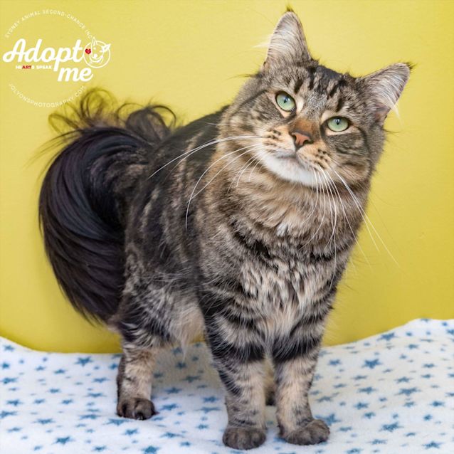 Photo of Memphis And Maverick