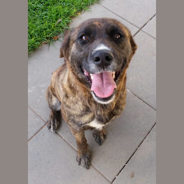 Photo of **On Trial** Lola