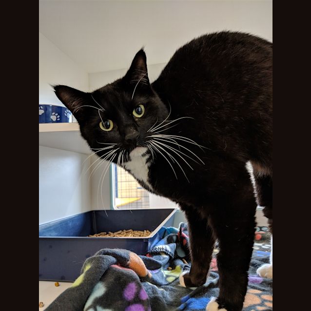 Photo of Jonesy