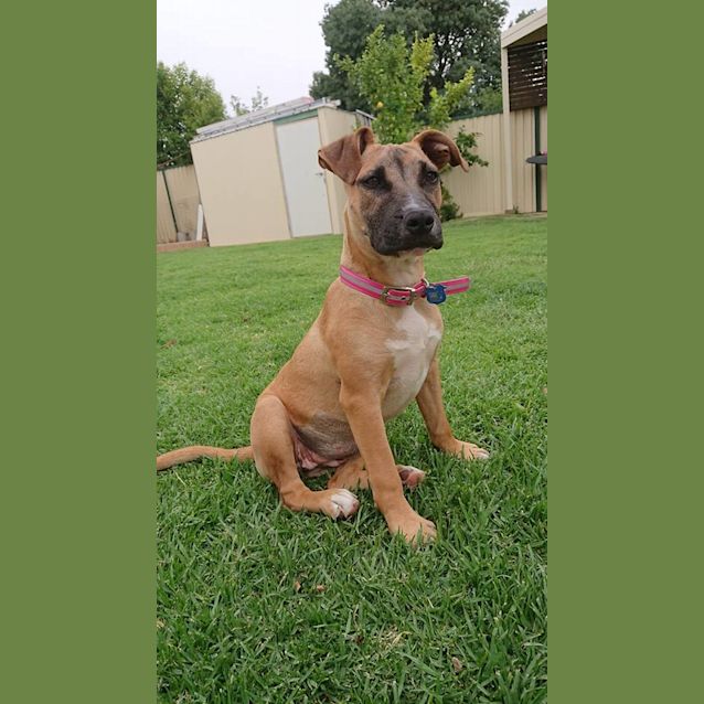 Photo of Ruby
