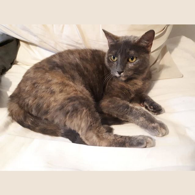 Photo of Promise 