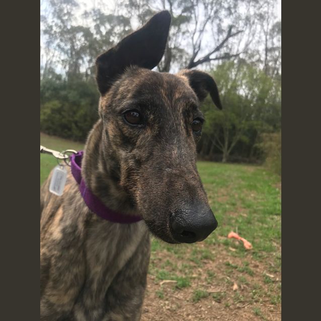 Photo of Ada