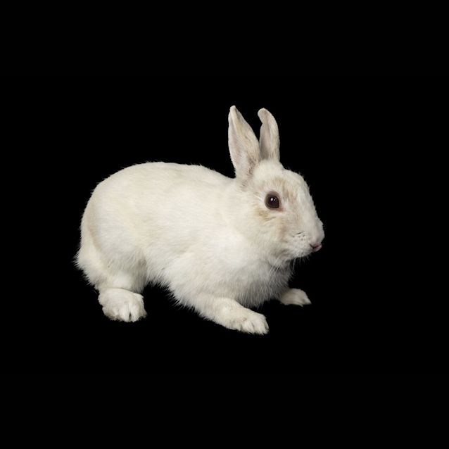 Photo of Yoghurt