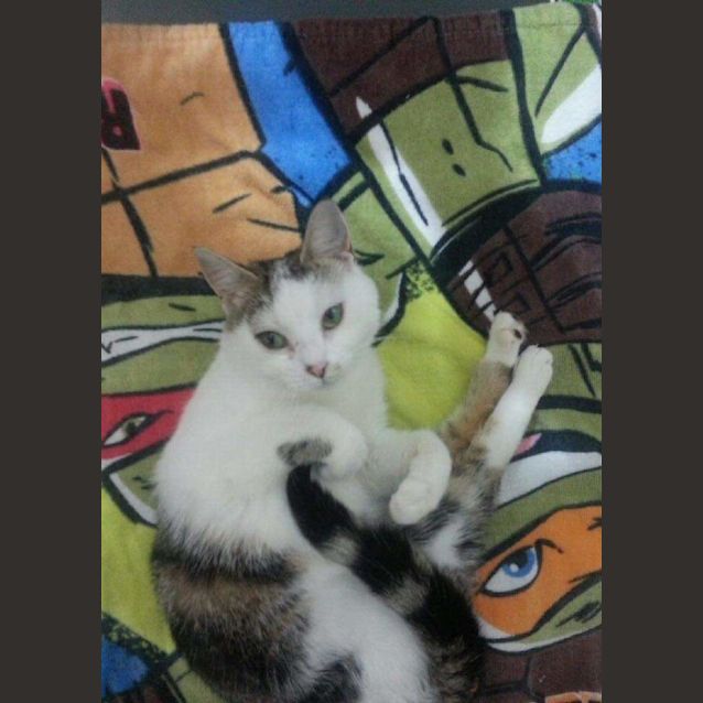 Photo of Ergo