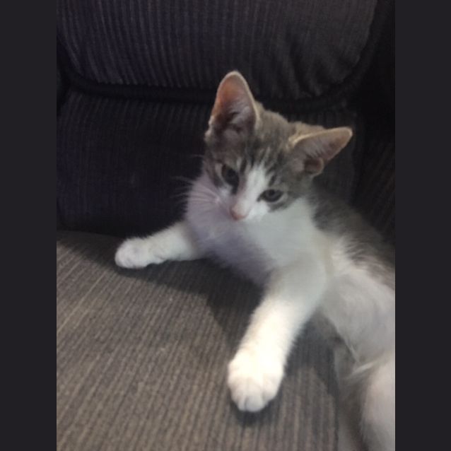Photo of Jimmy