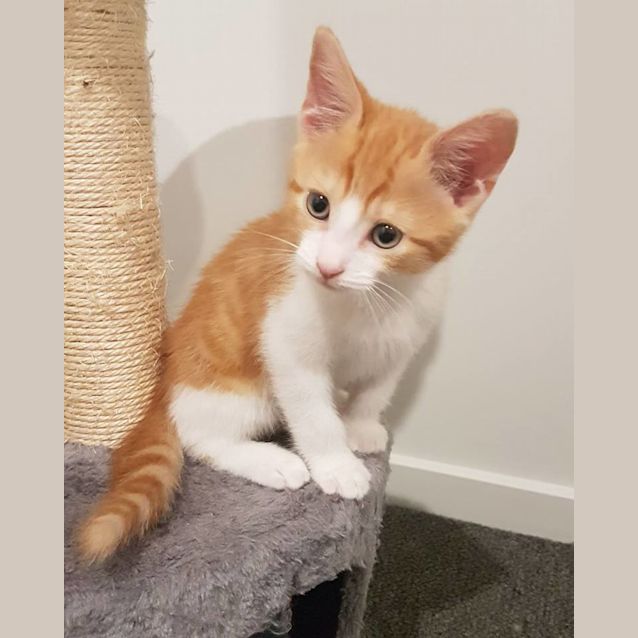 Photo of Fred 
