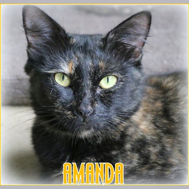 Photo of Amanda