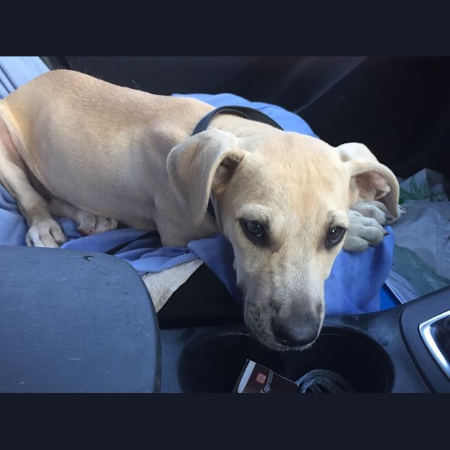 Photo of Miss Marple