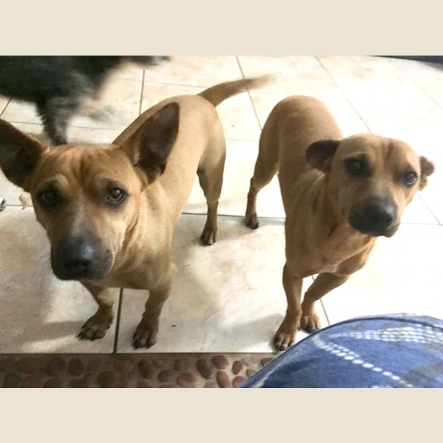 Photo of Butch And Buzby