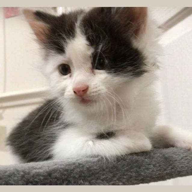 Photo of Skittles
