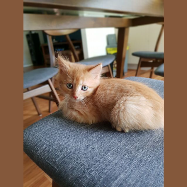 Photo of Ed
