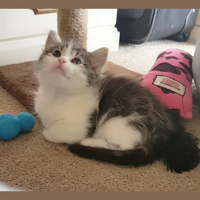 Photo of Hamish