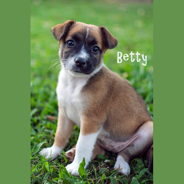 Photo of Betty