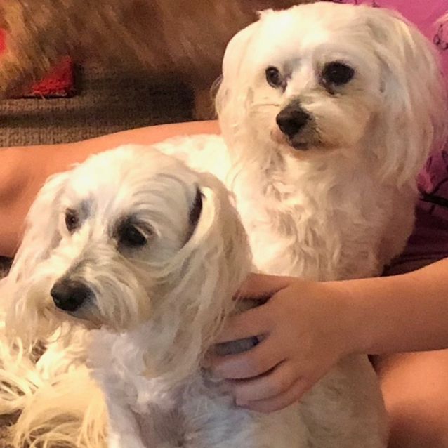 Photo of Mollie And Buster