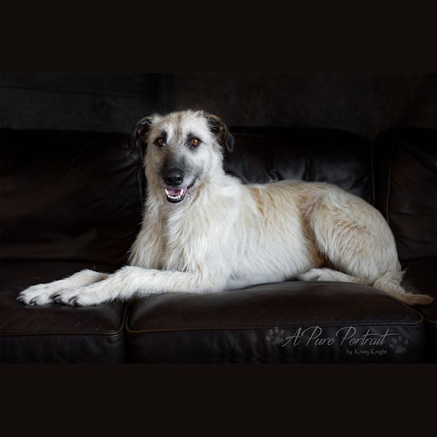 Photo of Skip