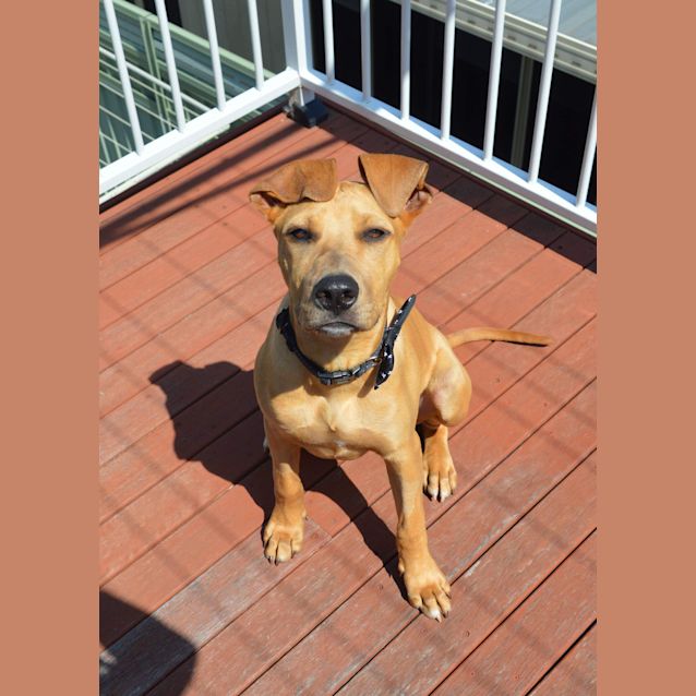 Photo of Happy Harry 