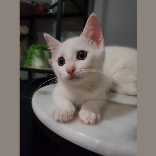 Photo of Marie 