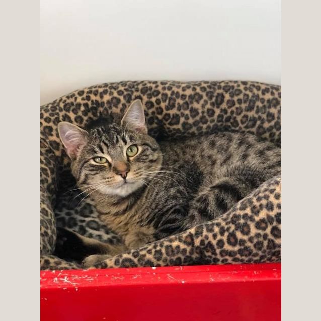 Photo of Oliver
