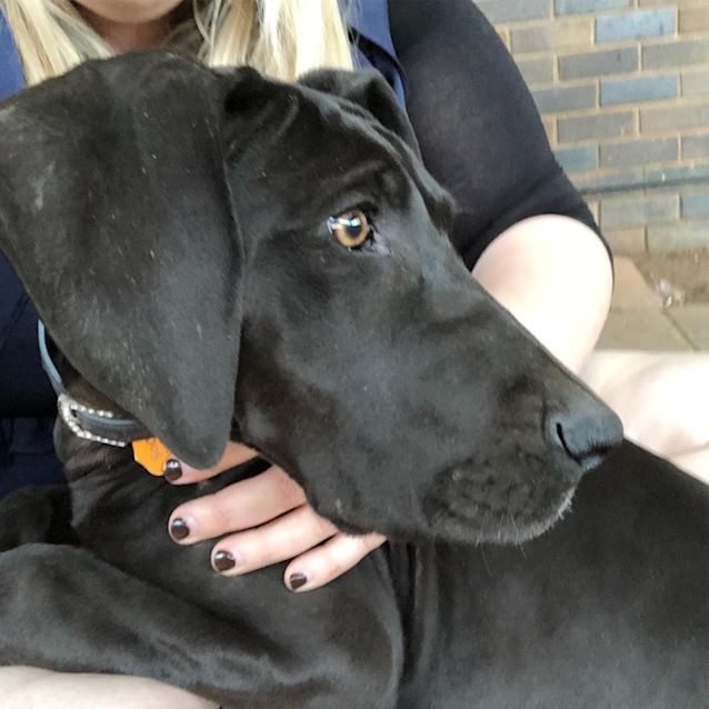 Photo of Blue