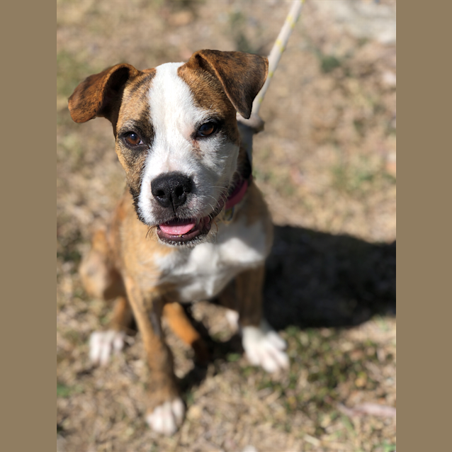 Photo of Heidi