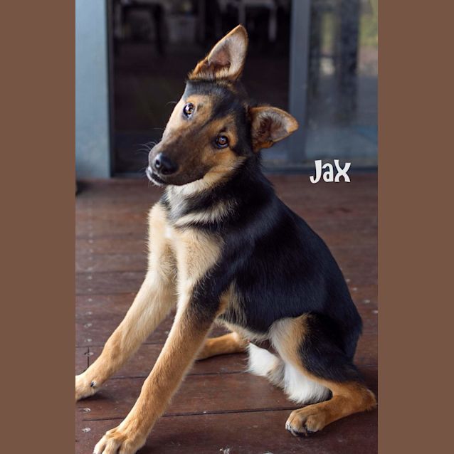 Photo of Jax