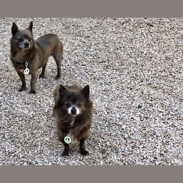Photo of The Blues   Bonny (And Clyde)