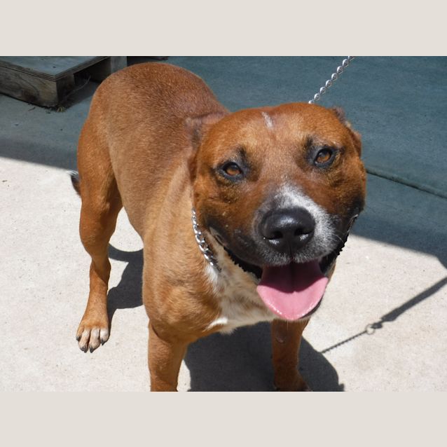 Photo of Bruce (Thsc 102)