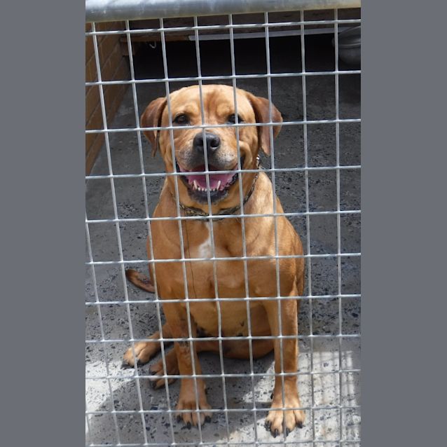 Photo of Jordan (Pcc 663)