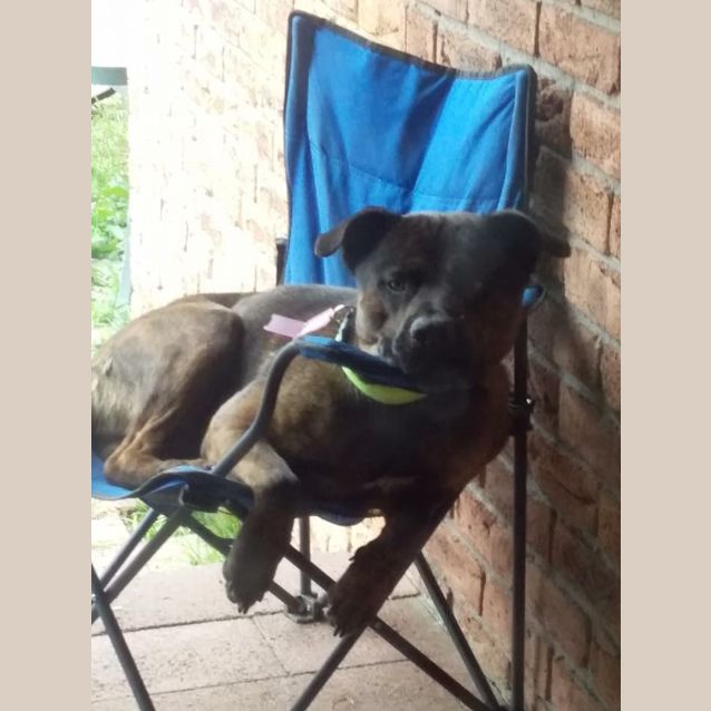 Photo of Hooch