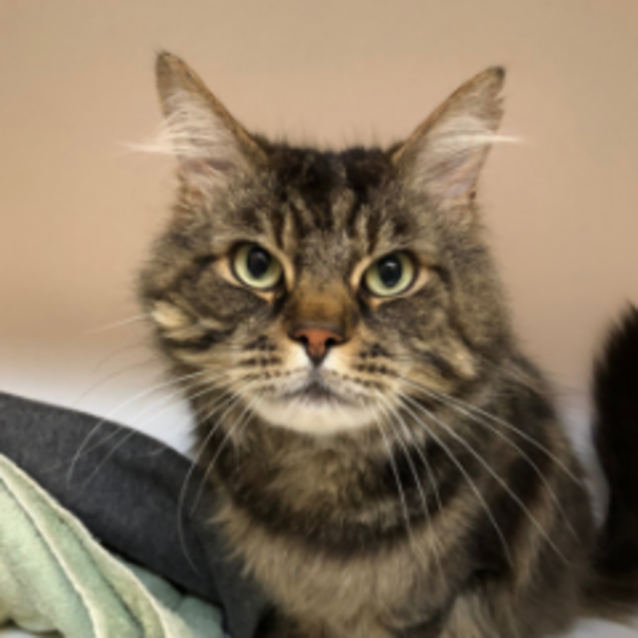 Photo of Percy