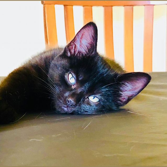 Photo of Minka