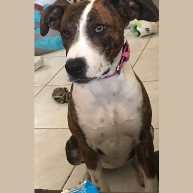 Photo of Miss Kate