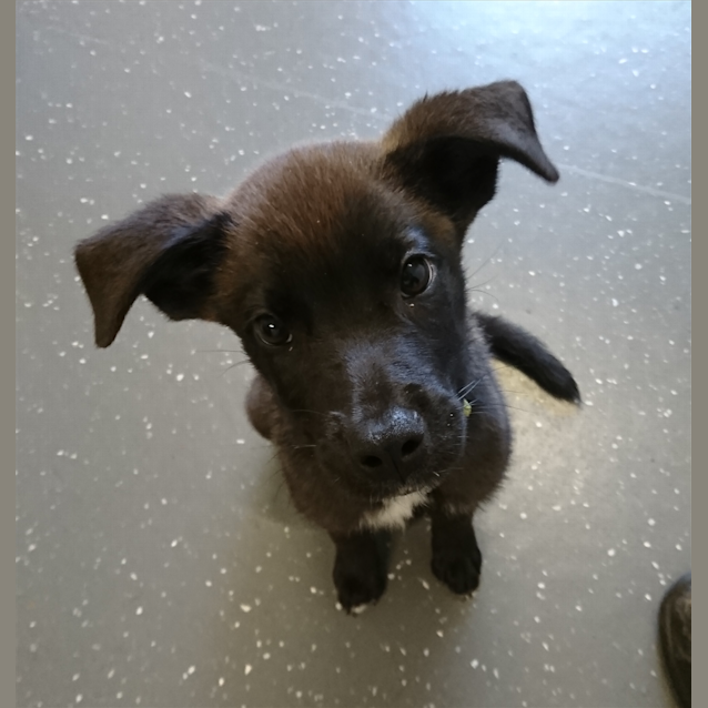 Photo of Twix