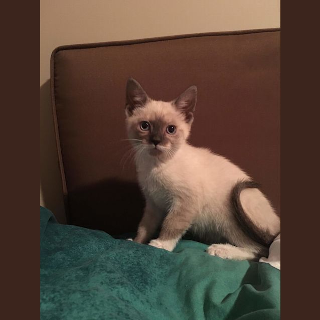 Photo of Tommy