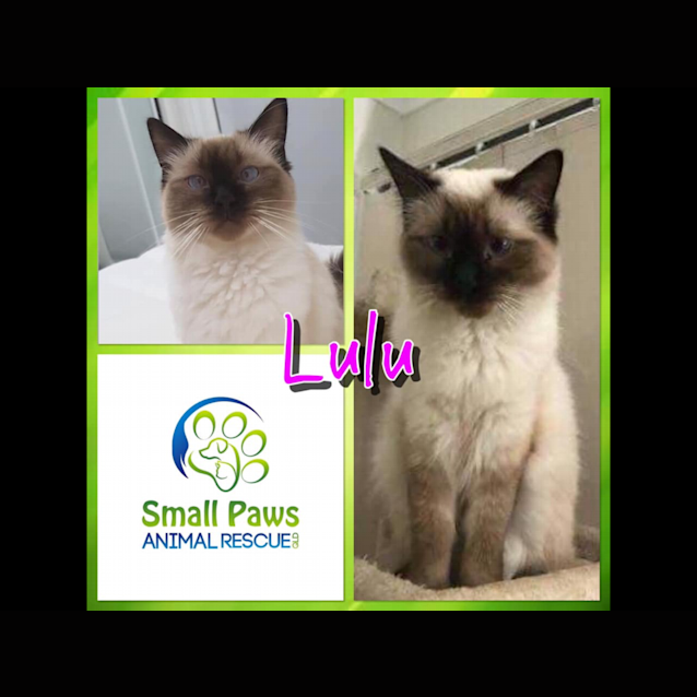 Photo of Lulu