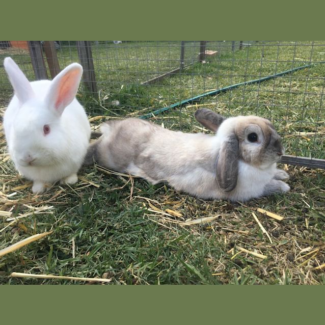 Photo of Spencer & Polly